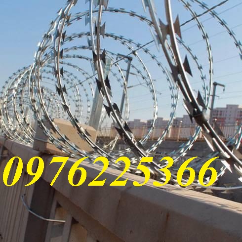 H&agrave;ng r&agrave;o d&acirc;y th&eacute;p gai