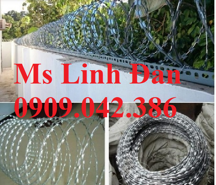 H&agrave;ng r&agrave;o d&acirc;y th&eacute;p gai