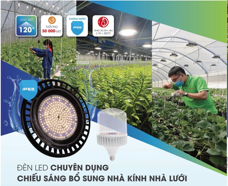 Đèn Led chuyên dụng chiếu sáng bổ sung nhà lưới, nhà kính