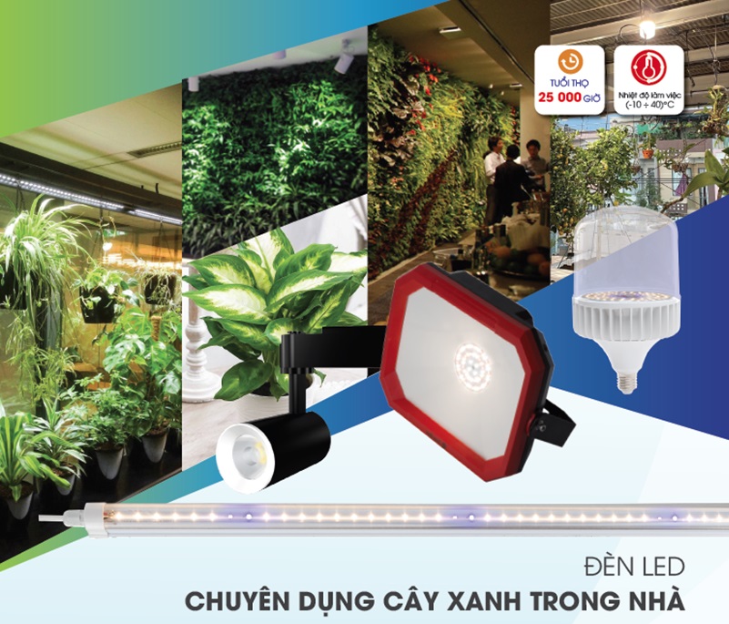 Đèn Led chuyên dụng cây xanh trong nhà