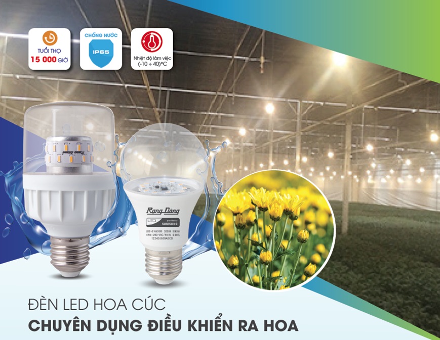 Đèn Led hoa cúc chuyên dùng điều khiển ra hoa