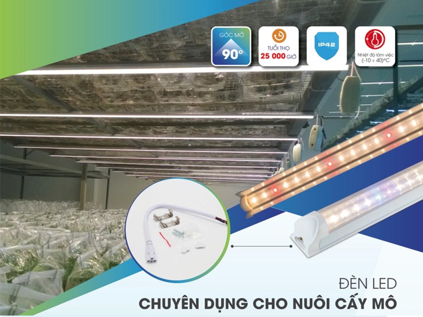 Đèn Led chuyên dụng cho  nuôi cấy mô
