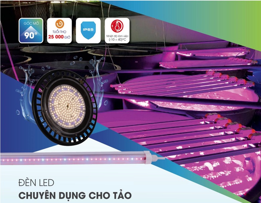 Đèn Led chuyên dụng cho tảo