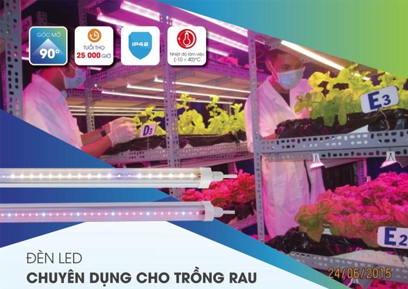 Đèn Led chuyên dụng cho trồng rau