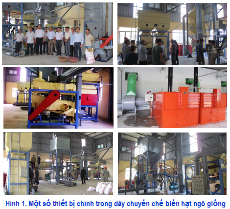 D&acirc;y chuyền thiết bị sấy, chế biến ng&ocirc; giống