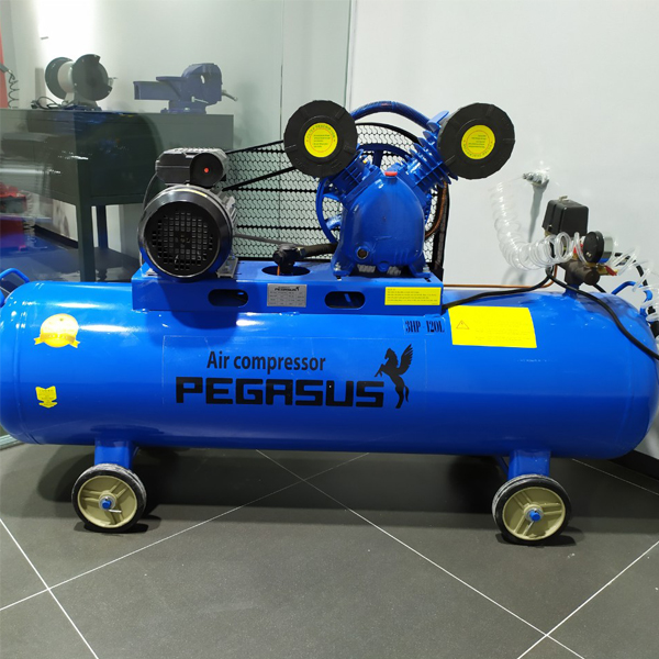 M&aacute;y n&eacute;n kh&iacute; Pegasus 3HP -120L
